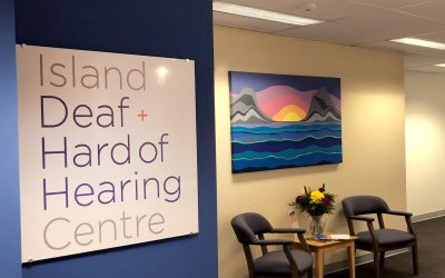 Island non-profit celebrating 30 years of leading the way