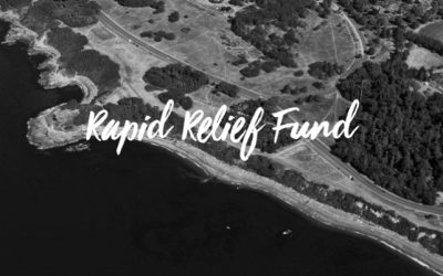 Rapid Relief Fund in the news