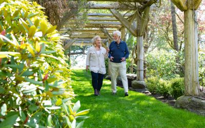 Working With Professional Advisors: Susan Bloom’s Story