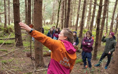 Nature-based Solutions in Action