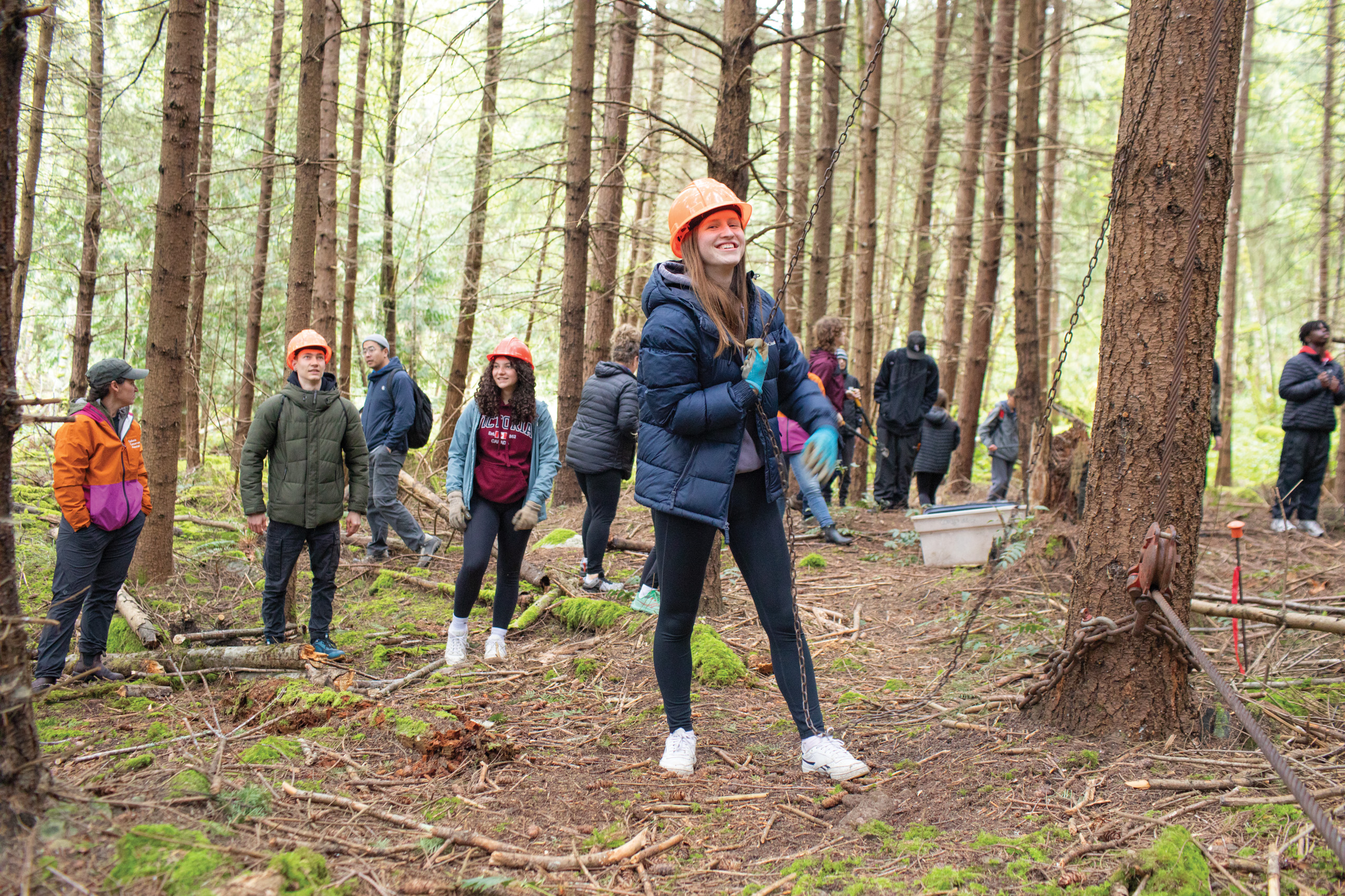 People in forest working on restoration.