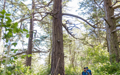 The Land Conservancy is Celebrating 25 Years of Conservation