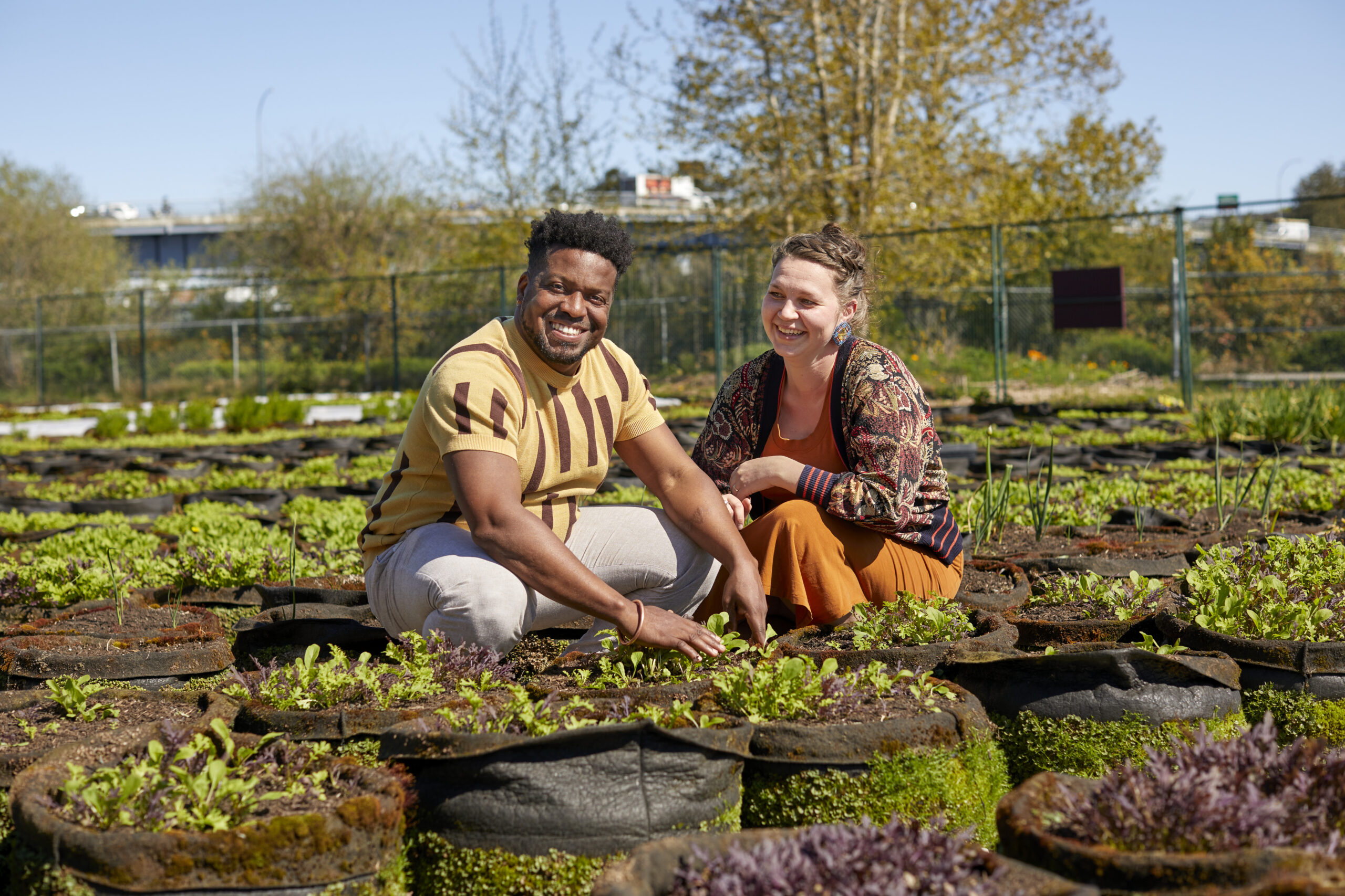Man and woman in vegetable garden