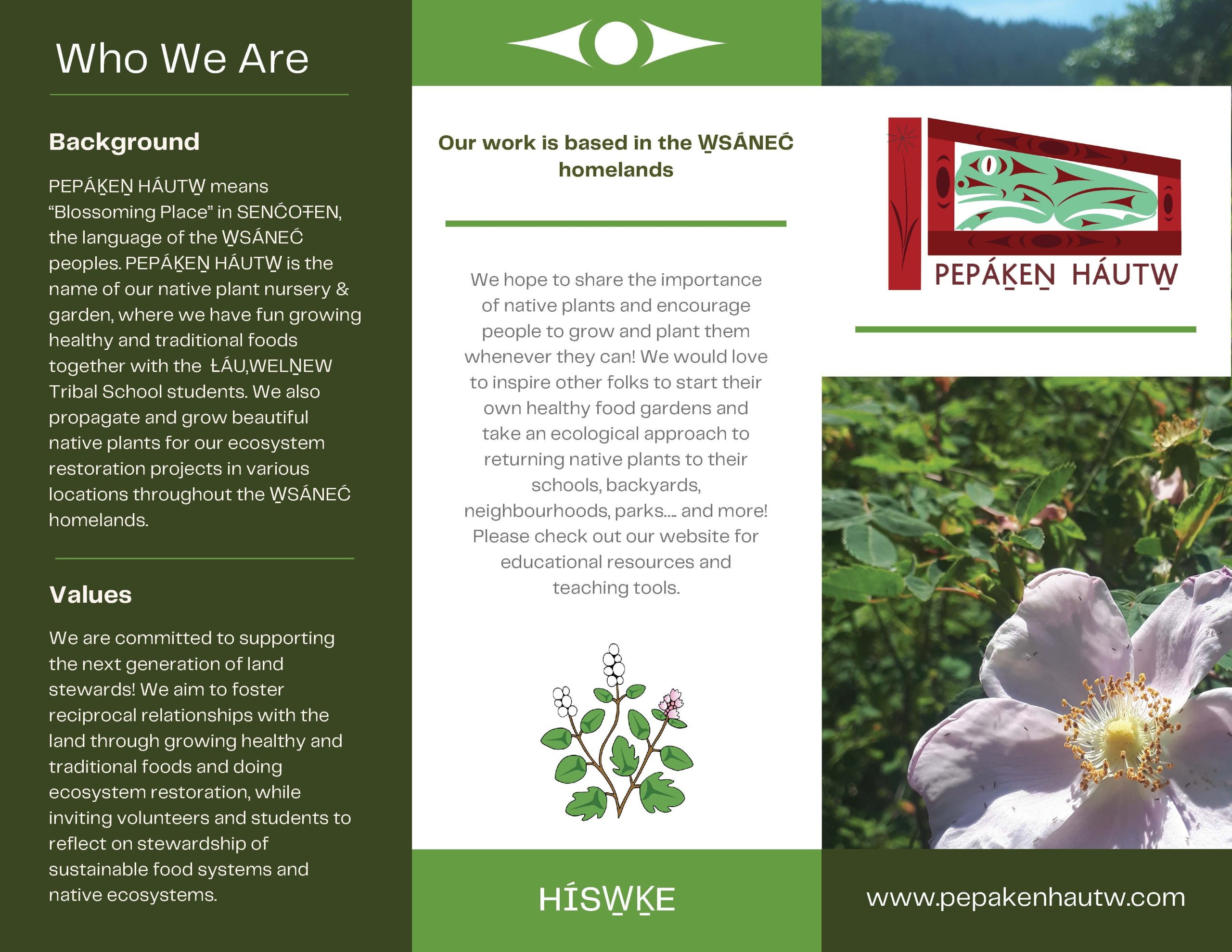 Pamphlet
