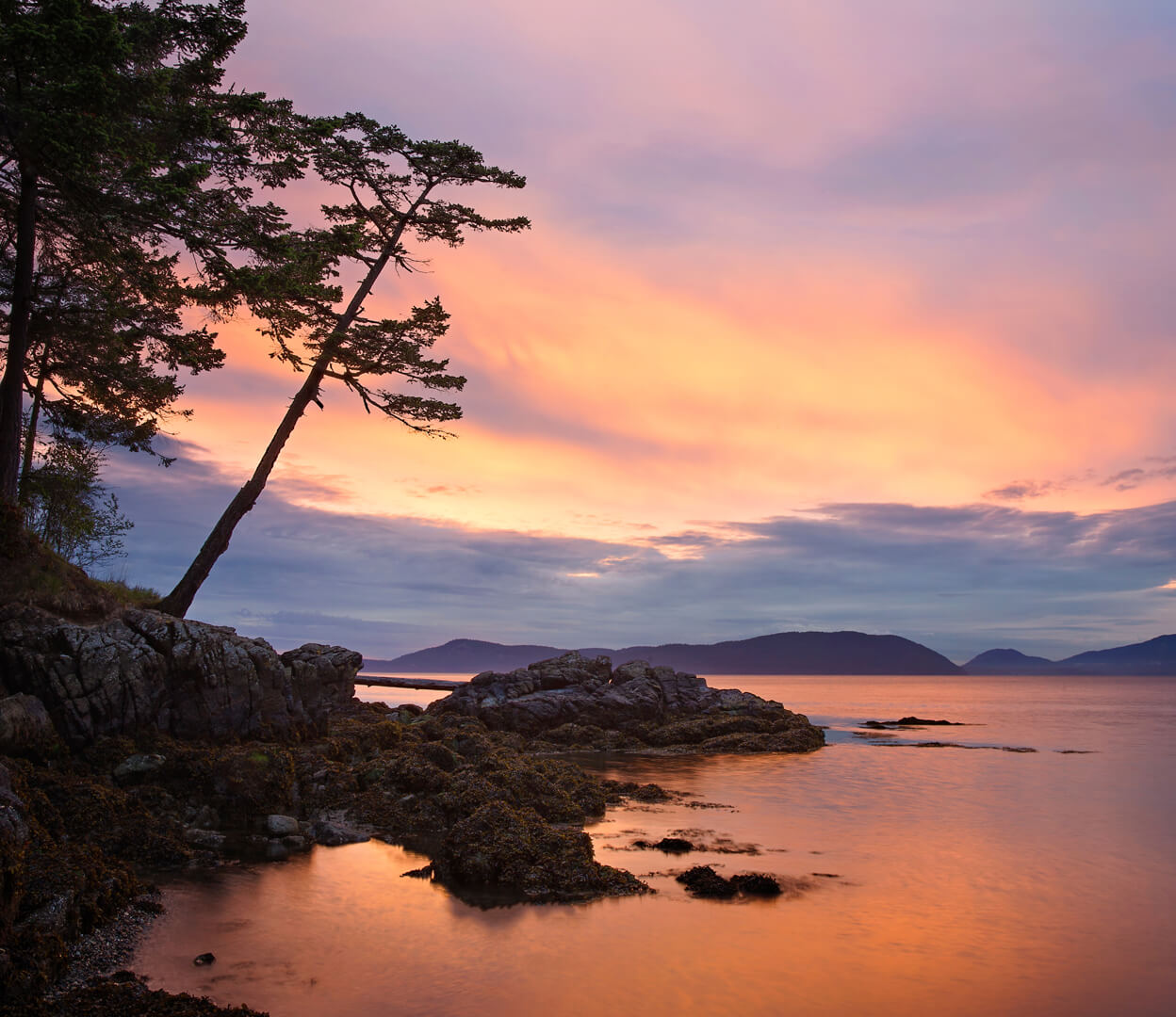 A beautiful sunset image of the Salish Sea.