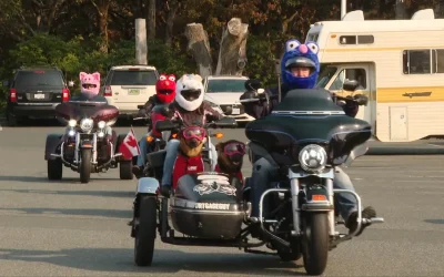 Helmet Heads Canada toy drive in high demand, but donations dropping
