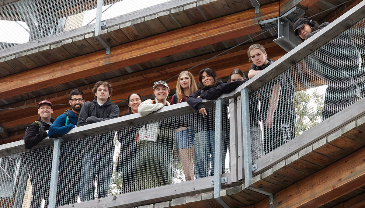 Take a Hike! Youths looking down from the Malahat Skywalk